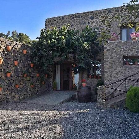 Finca Los Tamarillos Santa Cruz de Tenerife Dış mekan fotoğraf