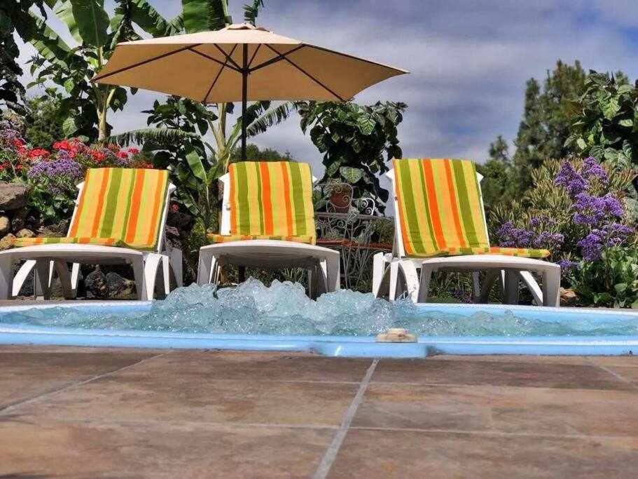 Finca Los Tamarillos Santa Cruz de Tenerife Dış mekan fotoğraf