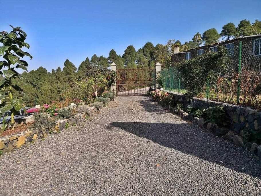 Finca Los Tamarillos Santa Cruz de Tenerife Dış mekan fotoğraf