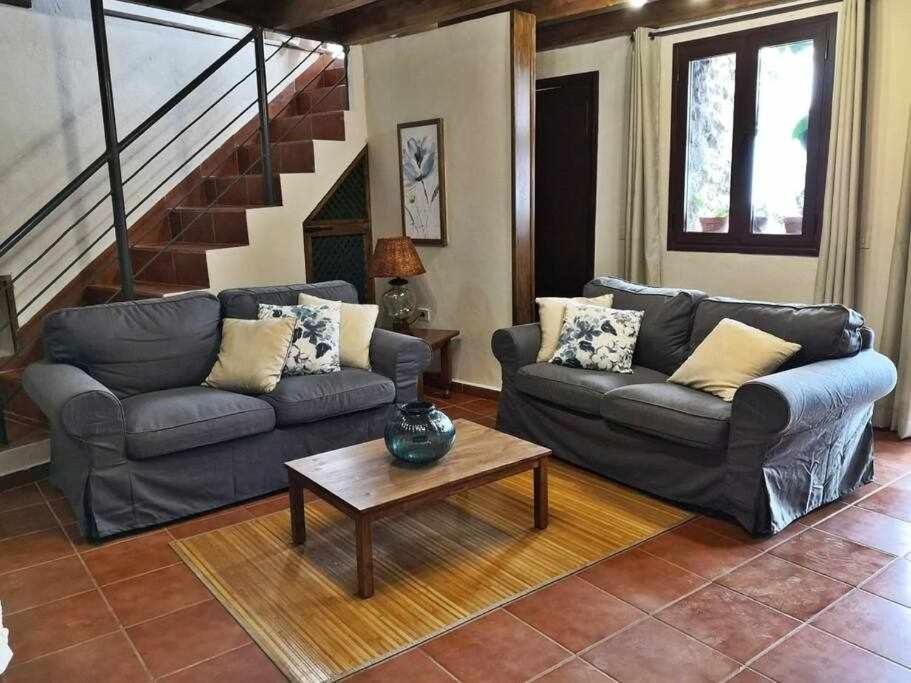 Finca Los Tamarillos Santa Cruz de Tenerife Dış mekan fotoğraf