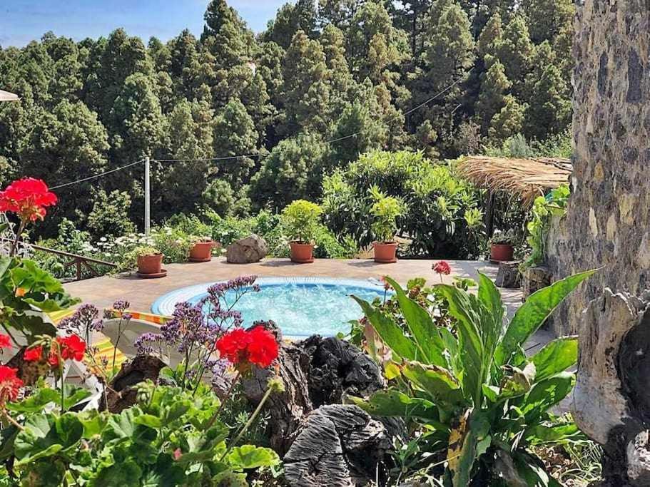 Finca Los Tamarillos Santa Cruz de Tenerife Dış mekan fotoğraf